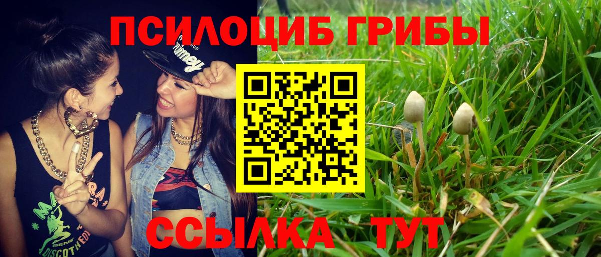 Галлюциногенные грибы GOLDEN TEACHER  Вход с VPN  Канск 